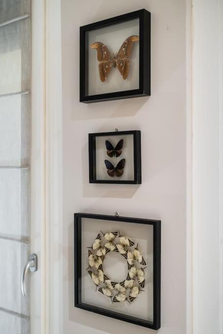 Casa Delle Farfalle بولونيا المظهر الخارجي الصورة